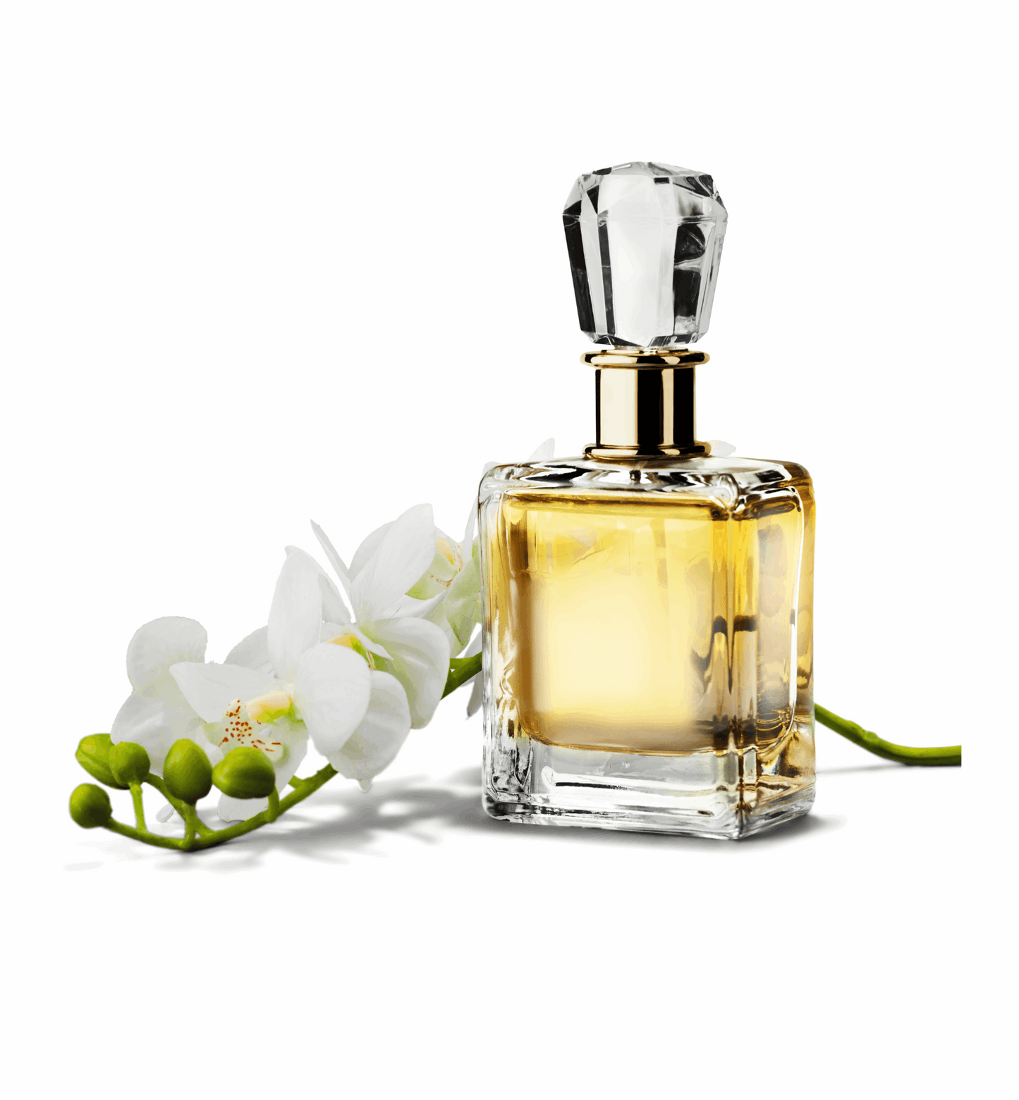 CUSTOM FRAGRANCE DEVELOPMENT SERVICE
